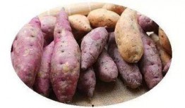 肚痛吃蒲瓜,天然食疗的神奇功效