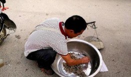 农村大叔偷瓜吃,引发邻里和谐趣事