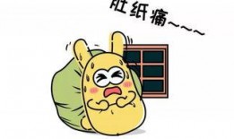 吃瓜群众10号,揭秘网络红人的幕后故事