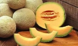 大杨老师吃哈密瓜,大杨老师与哈密瓜的甜蜜邂逅