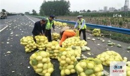 韩国看河南吃瓜,一场味蕾的“吃瓜”之旅