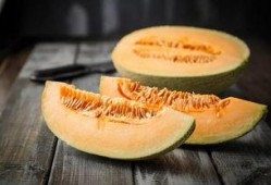 熊猫吃蜜瓜,蜜瓜盛宴的欢乐瞬间