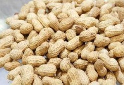 吃瓜花生上火吗,揭秘其是否会导致上火之谜