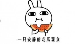 吃瓜的意思是,网络时代的围观文化现象