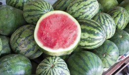 需要放糖吃的瓜,揭秘放糖瓜子的独特魅力