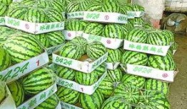 武汉人吃瓜视频,揭秘地道武汉小吃文化