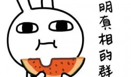 吃瓜旺财意思,揭秘娱乐圈的甜蜜与辛酸