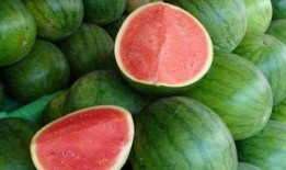 别人回复吃瓜,揭秘吃瓜群众背后的真相与趣味