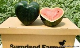 吃瓜哥奇葩水果