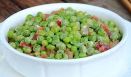 呆瓜可以炒着吃吗,探索炒制美味新境界