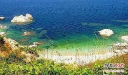 养马岛吃瓜,一场别开生面的美食盛宴