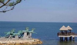 养马岛吃瓜,一场别开生面的美食盛宴