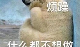 吃瓜群众爬行图片,吃瓜群众爬行图鉴