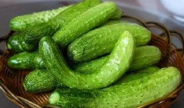 王梓琳吃瓜,揭秘娱乐圈幕后故事