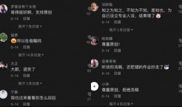 吃瓜账号的声音,揭秘网络舆论场的暗流涌动