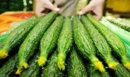 种花和吃瓜,田园生活的诗意与甜蜜