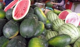 吃瓜吃到中国,揭秘网络舆论背后的真相与影响