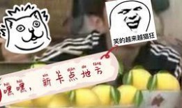 吃瓜解说搞笑视频,笑料横生！吃瓜解说带你领略搞笑视频的魅力