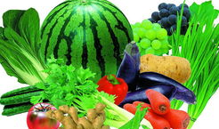 种瓜吃瓜种菜吃菜,种瓜吃瓜，种菜吃菜的生活哲学