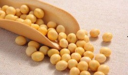 小黄豆吃妈妈的瓜,小黄豆的瓜趣之旅