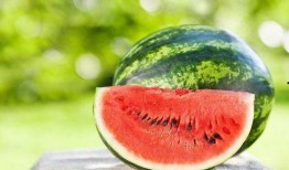 夏吃瓜图片大全