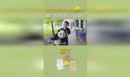 吃瓜小熊萌兰,揭秘娱乐圈那些事儿