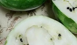 东北漠河吃瓜砂糖橘,冰原上的甜蜜瓜果时光