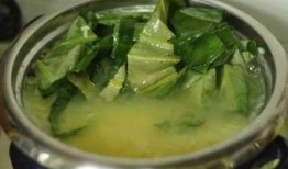 三伏吃三瓜三瓜三豆,三瓜三豆，清凉一夏的养生秘籍