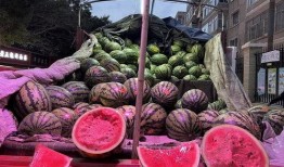 兰州最新吃瓜,揭秘最新网红吃瓜攻略