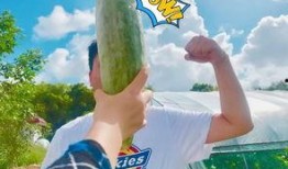 吃瓜网红全部,揭秘网络红人的幕后生活与影响力