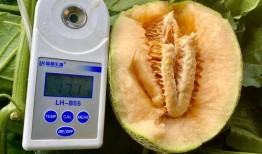 最新吃瓜大合集,盘点那些让人笑到肚子疼的幕后故事