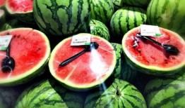 吃瓜留下的皮.,揭秘吃瓜背后的故事