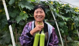 夏天吃瓜模式视频,跟着“吃瓜模式”视频畅享清凉时光