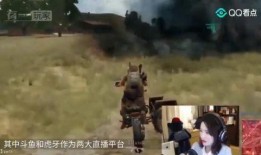 吃瓜年度大戏,揭秘娱乐圈风云变幻