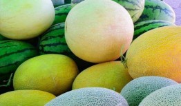 蜜露瓜如何吃才好吃,解锁最佳食用秘诀