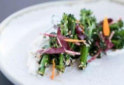 布里斯托博士吃瓜,一场关于智慧与勇气的奇幻之旅