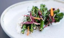 布里斯托博士吃瓜,一场关于智慧与勇气的奇幻之旅