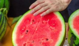 沧州学校吃瓜,揭秘校园食品安全背后的真相