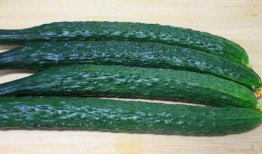 瓜要怎样吃才好,解锁最佳食用之道