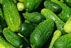 夏天吃瓜的图,图解夏日吃瓜乐趣