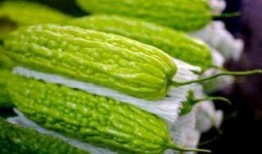 孕妇可以吃磁瓜吗,孕妇适宜食用磁瓜的益处与注意事项