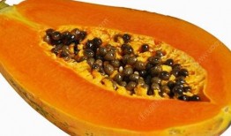 空腹吃瓜恶心,揭秘夏日饮食禁忌