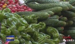 兰陵吃瓜新闻,揭秘当地热点事件背后的真相与笑料