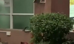 遵义吃瓜最近新闻,揭秘近期热门新闻背后的故事与真相