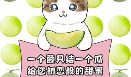 中班吃瓜大赛,吃瓜大赛趣味横生