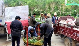 成武吃瓜群众,揭秘当地热点事件背后的故事