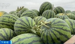 华华华吃瓜,揭秘娱乐圈幕后故事