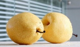 梦见吃梨瓜里有很多籽,吃梨瓜满籽的寓意与启示