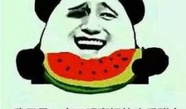 吃瓜群众能当采瓜大盗吗,揭秘网络时代的“瓜田”奇闻