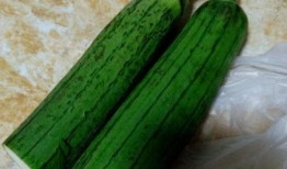 可以做菜吃那几钟瓜,盘点那些可以做菜吃的瓜类佳肴